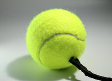 Load image into Gallery viewer, BallAlong- A tennis ball with a collar/leash attachment for Dogs