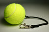 BallAlong- A tennis ball with a collar/leash attachment for Dogs