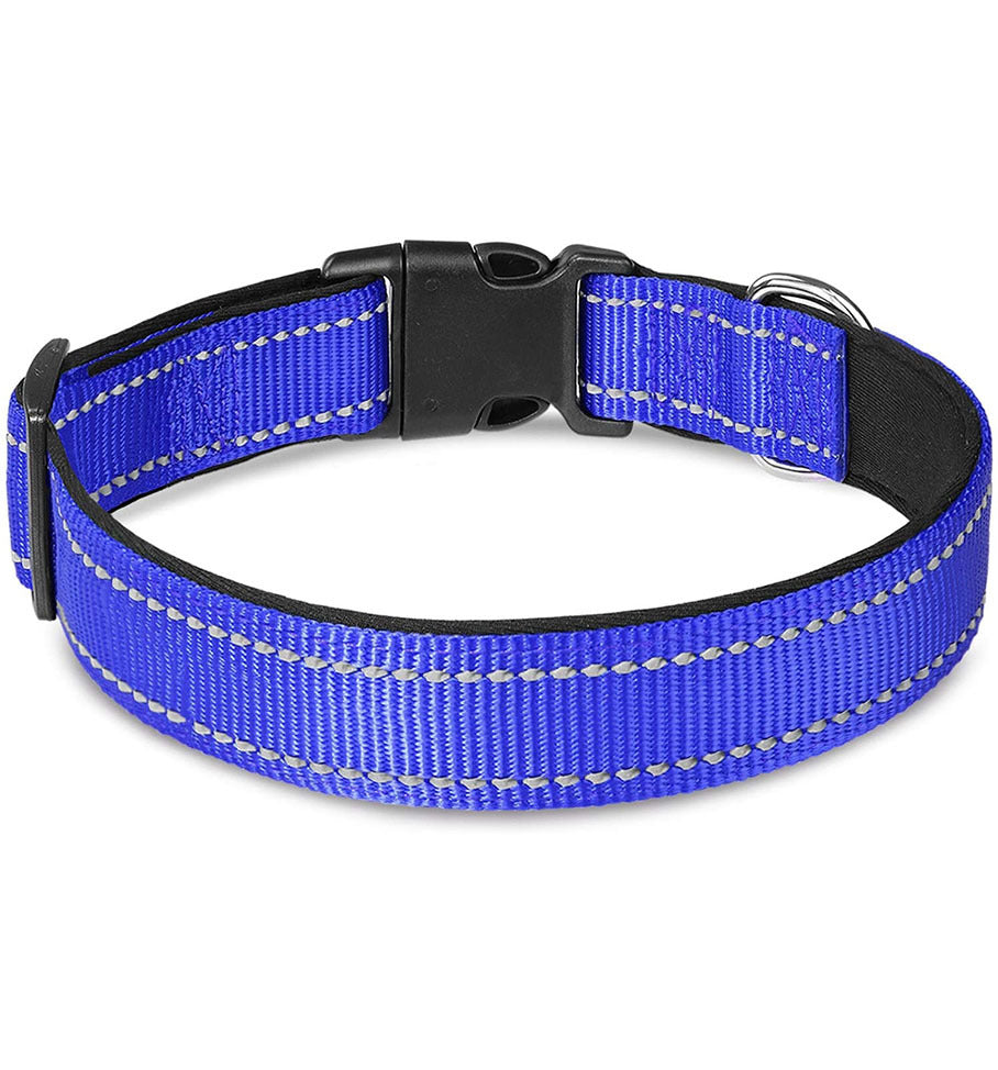 BallAlong Reflective Dog Collar
