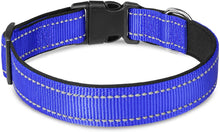 Load image into Gallery viewer, BallAlong Reflective Dog Collar
