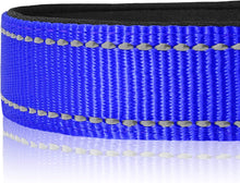 Load image into Gallery viewer, BallAlong Reflective Dog Collar
